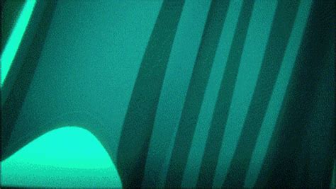 Solo Shemale Gifs .